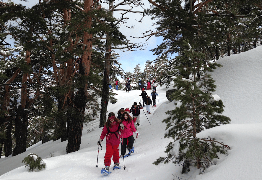 Excursiones con raquetas de nieve para colegios en Madrid con Dreampeaks