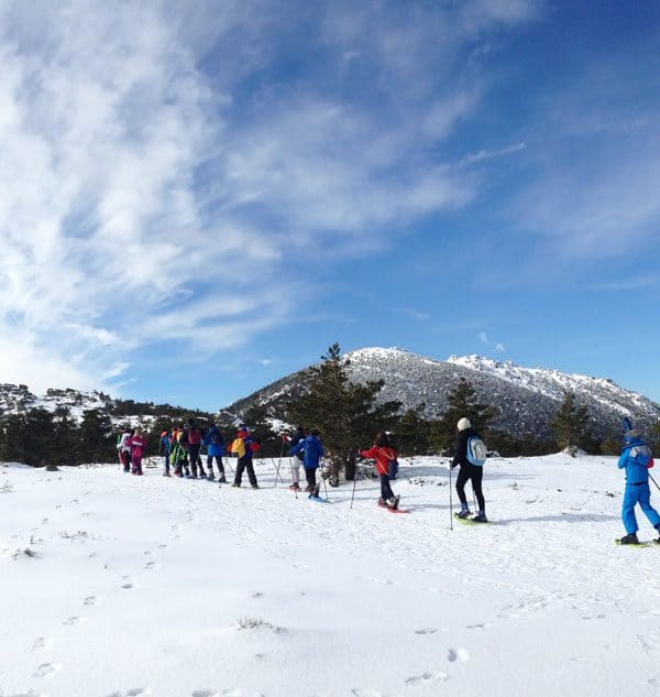 Excursiones con raquetas de nieve para colegios en Madrid con Dreampeaks